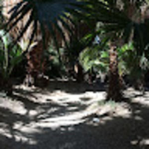 Meet your Posher, Charlie